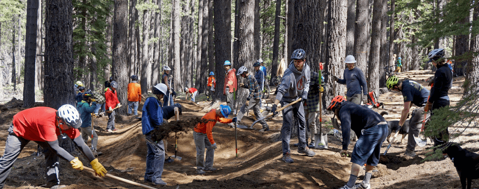 Volunteers building trail at a TAMBA trail-work day